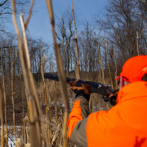 Gazing down the barrel of a hunter in blaze orange